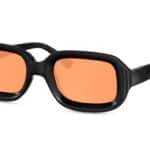 Lunettes SLP 2982